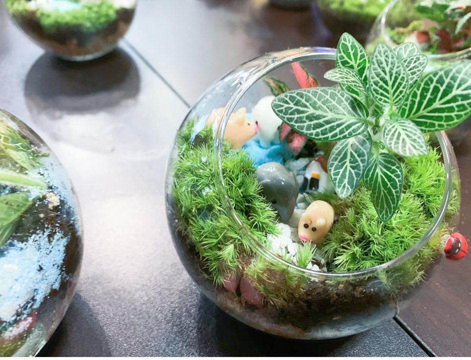 玻璃盆景工作坊 (圓型)