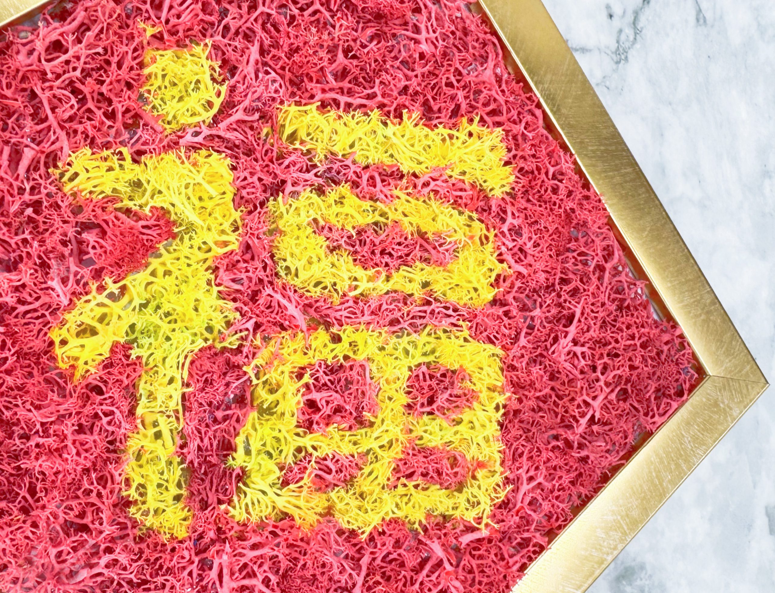 賀年永生苔蘚畫工作坊