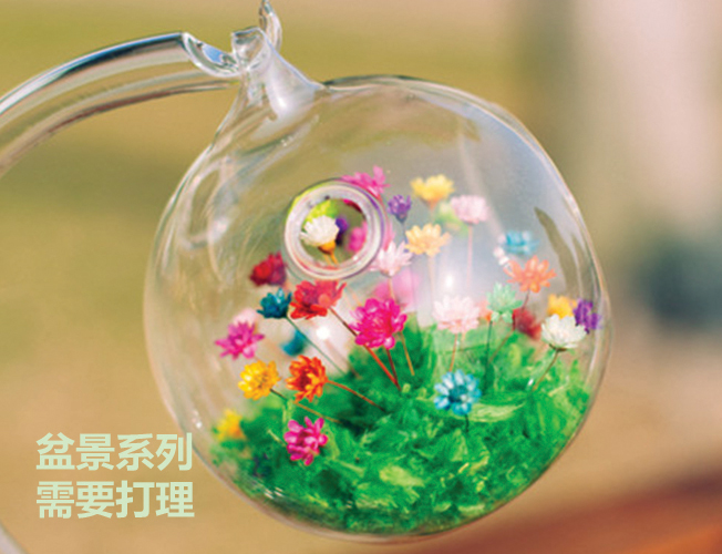 M Flower 地球儀製作班