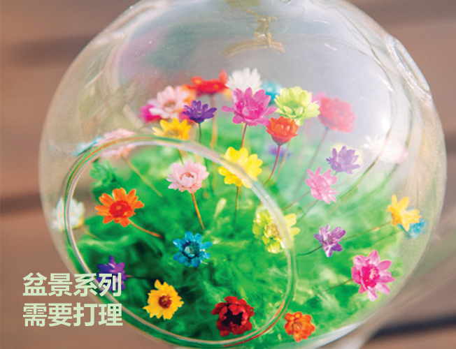 M Flower 地球儀製作班
