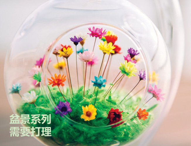 M Flower 地球儀製作班