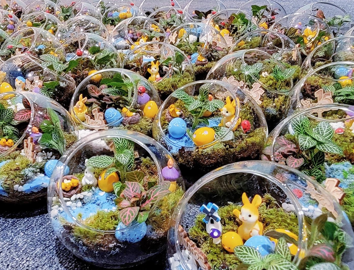 復活節盆景工作坊