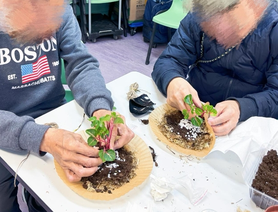 苔玉盆景工作坊