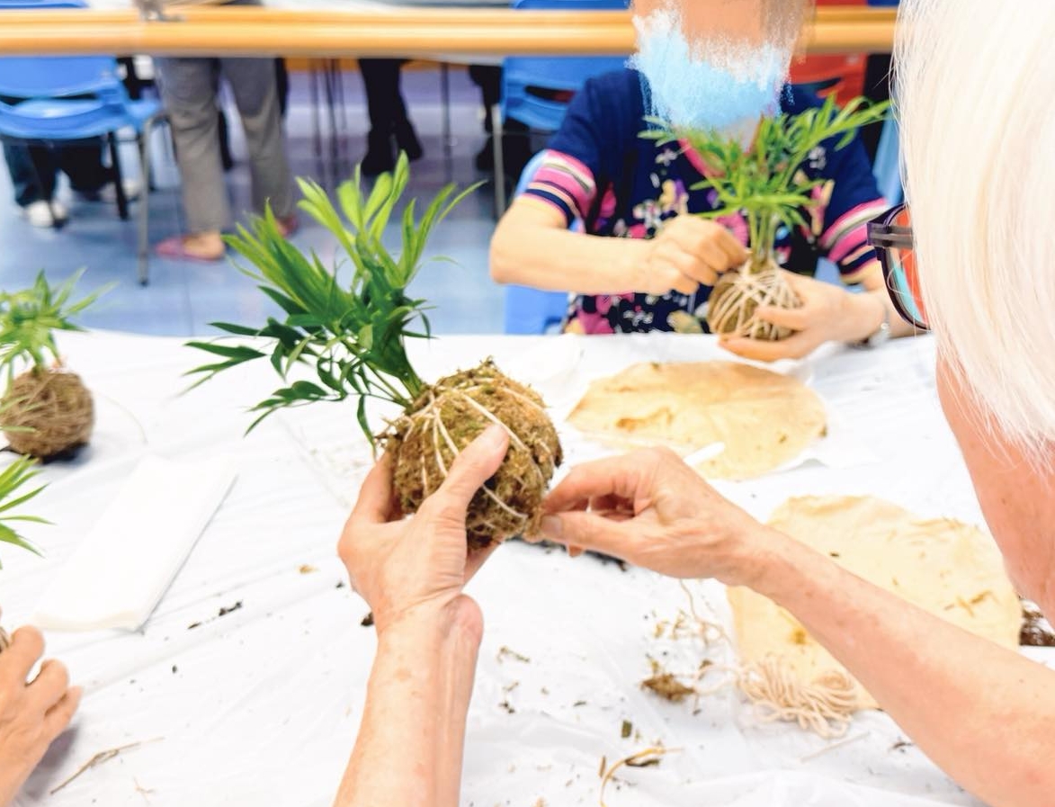 苔玉盆景工作坊