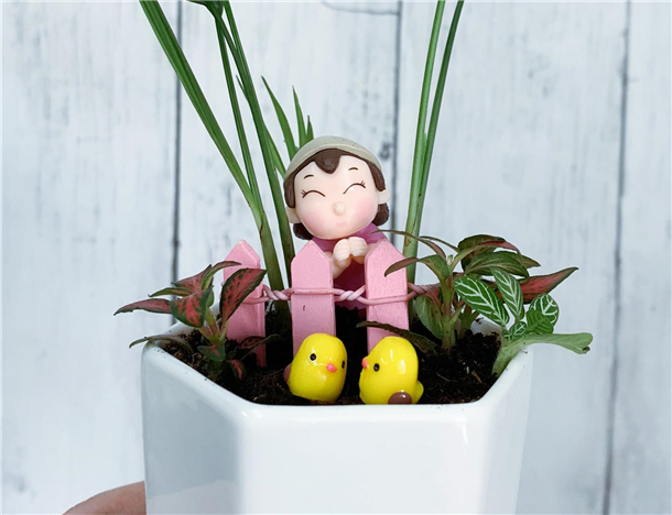 迷你花園工作坊