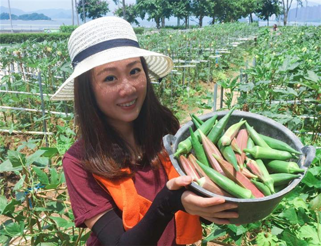 園藝治療小組 (戶外耕種體驗)