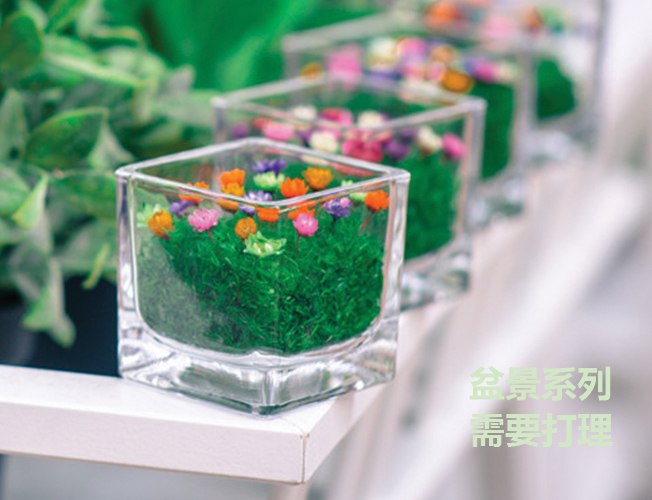M Flower 型格方型製作班