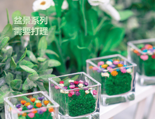 M Flower 型格方型製作班