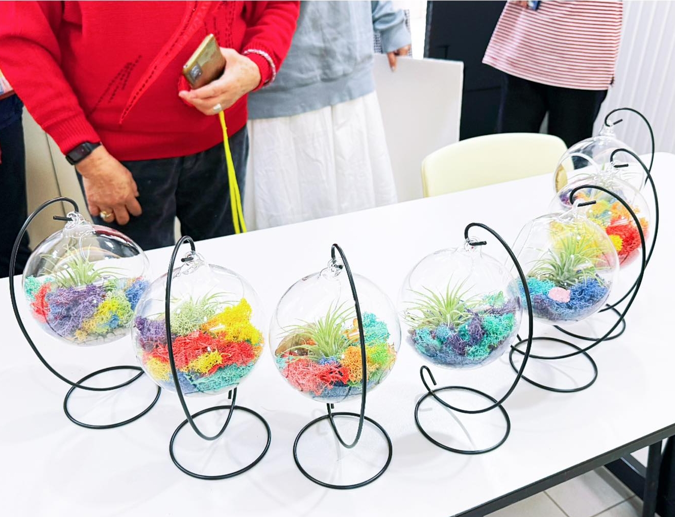 空氣鳳梨玻璃盆景工作坊