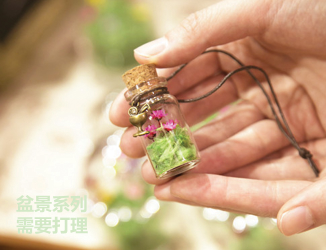 乾花許願瓶製作班